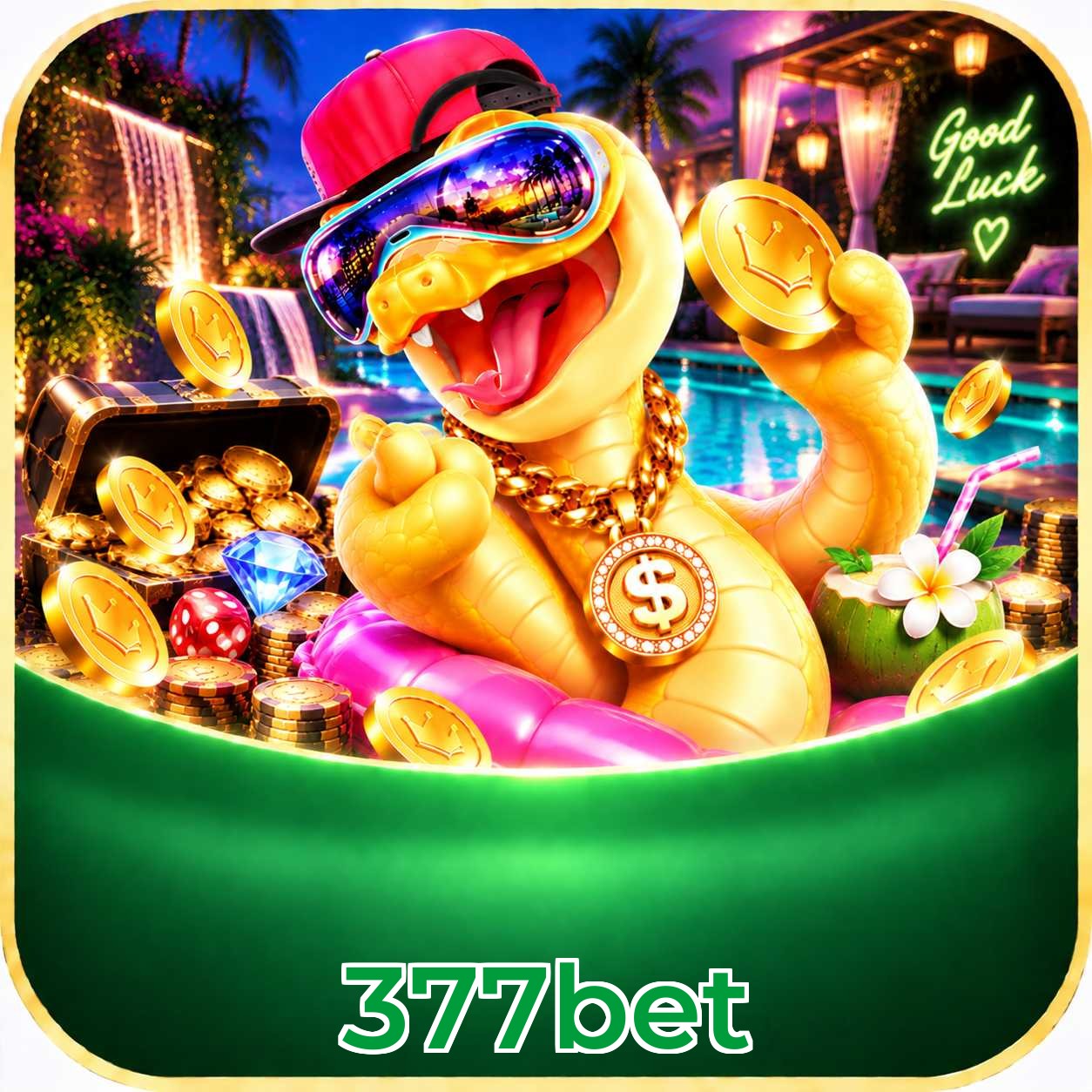 377bet Bet Odds Analysis